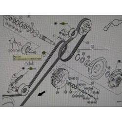 CORREA CLAAS, REF. 6658251 GATES