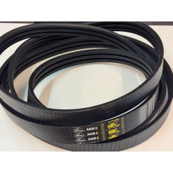 CORREA CLAAS, REF. 6659670 GATES