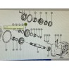 Piñón Intermedio Claas, Ref. 6375050