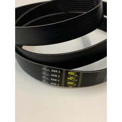 Correa Claas, Ref. 5846271 Gates